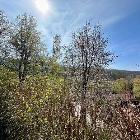 Natur Pur - Waldurlaub Im Tiny House Ronshausen Zewnętrze zdjęcie