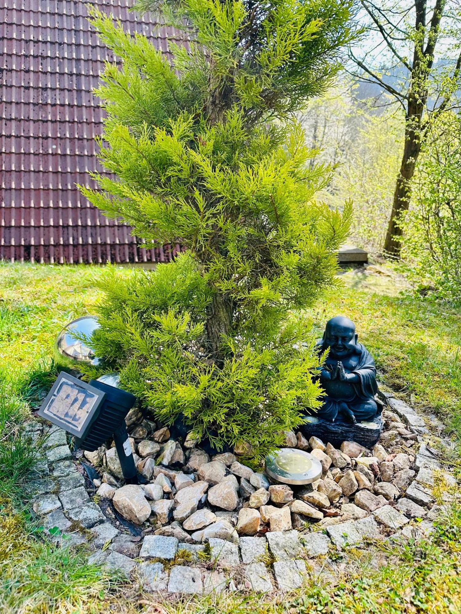 Natur Pur - Waldurlaub Im Tiny House Ronshausen Zewnętrze zdjęcie